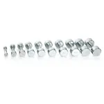 Hantel Gymstick Pro Chrome Dumbbell
